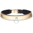 Ошейник DS Fetish Narrow Collar With Ring, золотой - Фото №1