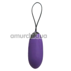 Виброяйцо Virgite Remote Controll Egg G3, фиолетовое - Фото №1