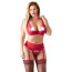 Комплект Cottelli Lingerie Set 221263334, красный: бюстгальтер + трусики с подвязками для чулок - Фото №1