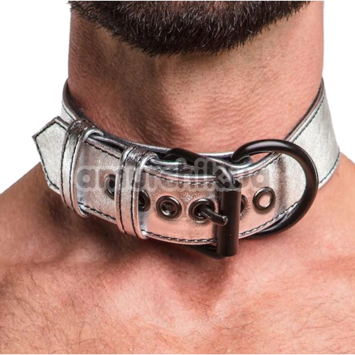 Ошейник с поводком Lovetoy Bondage Fetish Metallic Silver Pup Collar With Leash, серебряный
