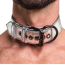 Ошейник с поводком Lovetoy Bondage Fetish Metallic Silver Pup Collar With Leash, серебряный - Фото №4
