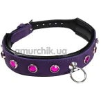 Ошейник DS Fetish Leather Collar Jewel, фиолетовый - Фото №1
