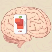 Влияние секс-игрушек на мозговую деятельность