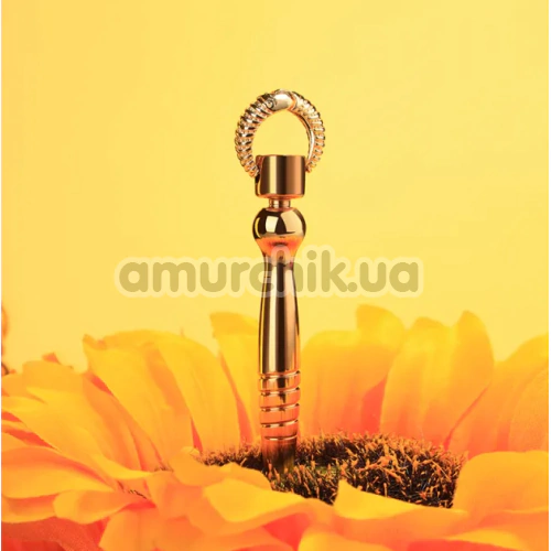 Набір уретральних вставок Lockink Sevanda Bad Boy Training Urethral Plugs Set, золотий