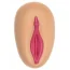 Іграшка-антистрес Sexy Squeeze Assortment Vagina - Фото №1