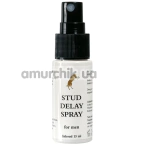 Спрей-пролонгатор Stud Delay Spray, 15 мл - Фото №1