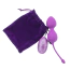 Вагинальные шарики с вибрацией Bernice Vibrator Most Secure Private Partner PL-EG66W 030, фиолетовые - Фото №4