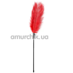 Пір'їнка для пестощів Easy Toys Feather Tickler XL, червона - Фото №1