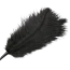 Пір'їнка для пестощів DS Fetish Feather Tickler, чорна - Фото №3