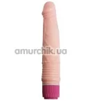 Вібратор A - Toys Multi - Speed Vibrator Ponk, тілесний - Фото №1