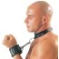 Ошейник с кольцом Zado Fetish Leder Halsband, черный - Фото №5