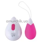 Виброяйцо All Time Favorites 10 Functions Wireless Remote Egg, розовое - Фото №1