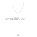 Зажимы для сосков и клитора Bedroom Fantasies Nipple And Clitoris Clamps, серебряные - Фото №1