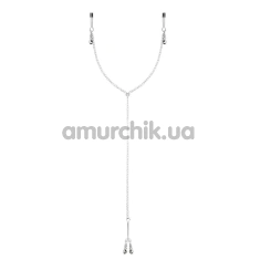 Зажимы для сосков и клитора Bedroom Fantasies Nipple And Clitoris Clamps, серебряные - Фото №1