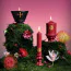 Свічка Upko Dreaming Of Garden Low Temperature Wax Candle Short, бордова - Фото №6