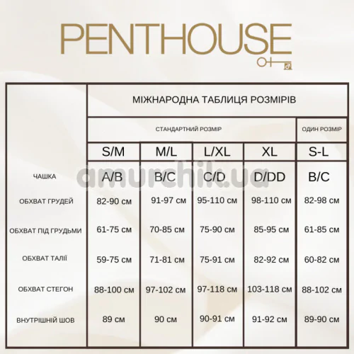 Боді Penthouse Lingerie No Taboo, чорне